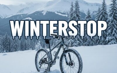 Winterstop